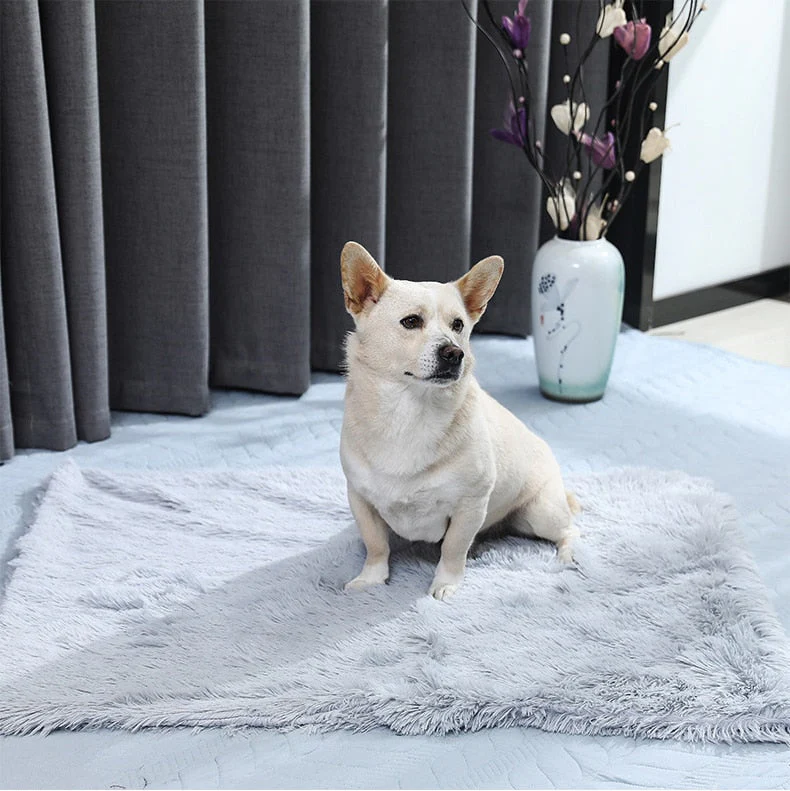 HULIANFU Soft Long Plush Pet Blanket Multi-Use Mat Sofa Cover Comfortable Warming Shag Blankets for Puppy Dog and Cats - Deanwangkt
