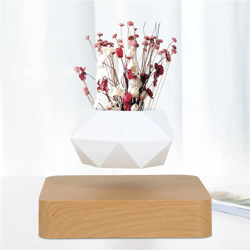 HULIANFU Magnetic suspension flower pot Levitating Air Bonsai Pot plant pot succulent pot patio decoration Desktop Flower/Green Plant - Deanwangkt