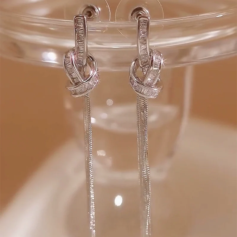 Light luxury high-end zircon winding long fringed earrings women's new trendy niche design temperament cold wind earrings - Deanwangkt