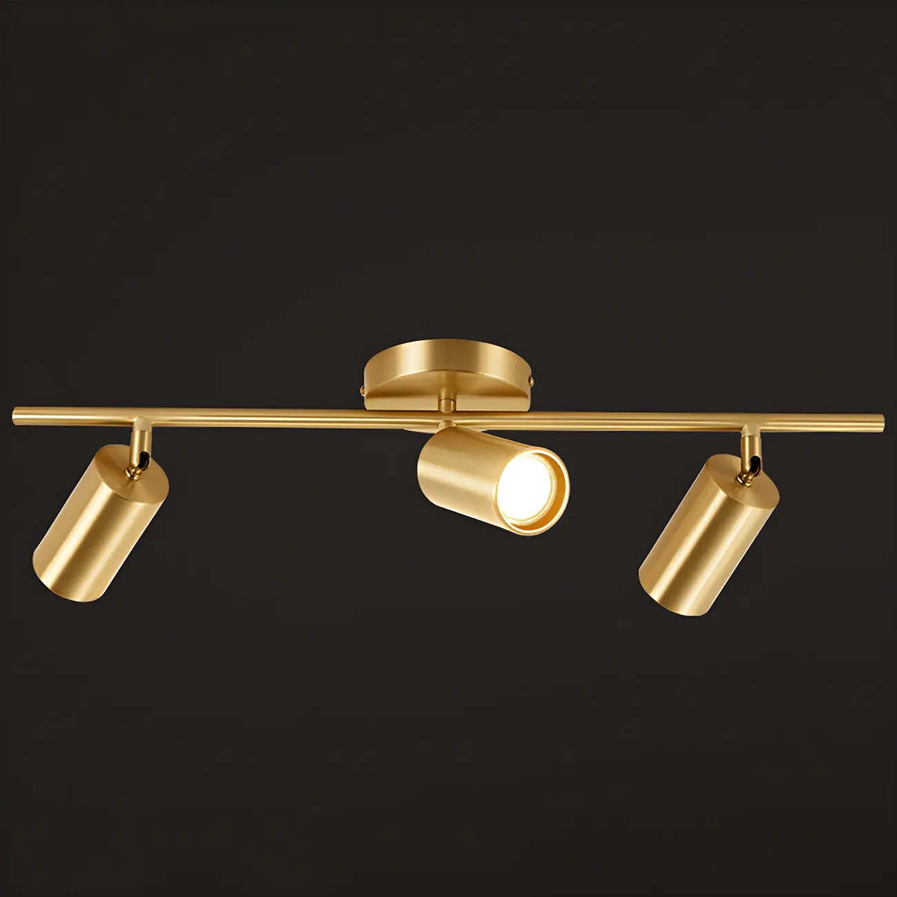 4 Light Gold Track Lighting with Adjustable Heads
