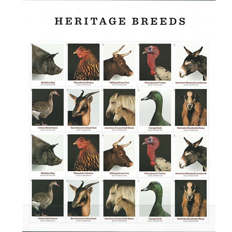 Heritage Breeds 2021, (Sheet of 20) - TWENTYSTAMPS
