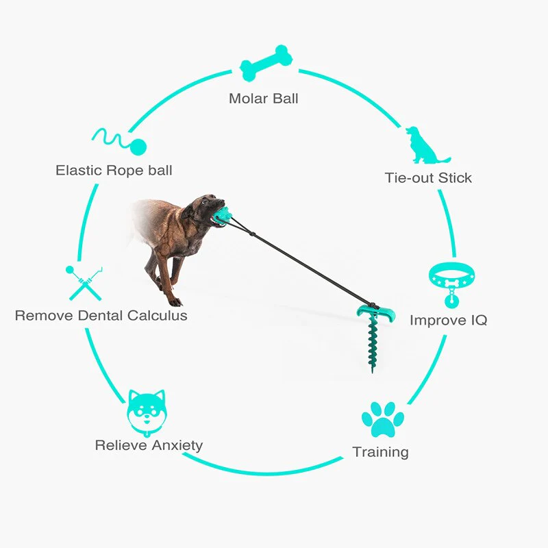 HULIANFU Training Stakes Portable Dog Leash Pile Tie-Out Stick Chew Toy Elasticity Chain for Outdoor Camping Backyard pet leash - Deanwangkt