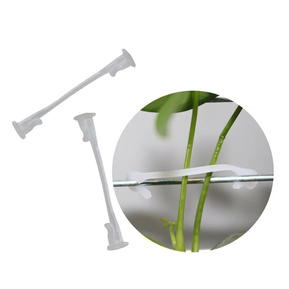 HULIANFU Plants Bundled Lashing Hook Garden Accessories Fixed Vegetable Strapping Of fruit Vines for Garden Tree Climbing Support 100 Pcs - Deanwangkt