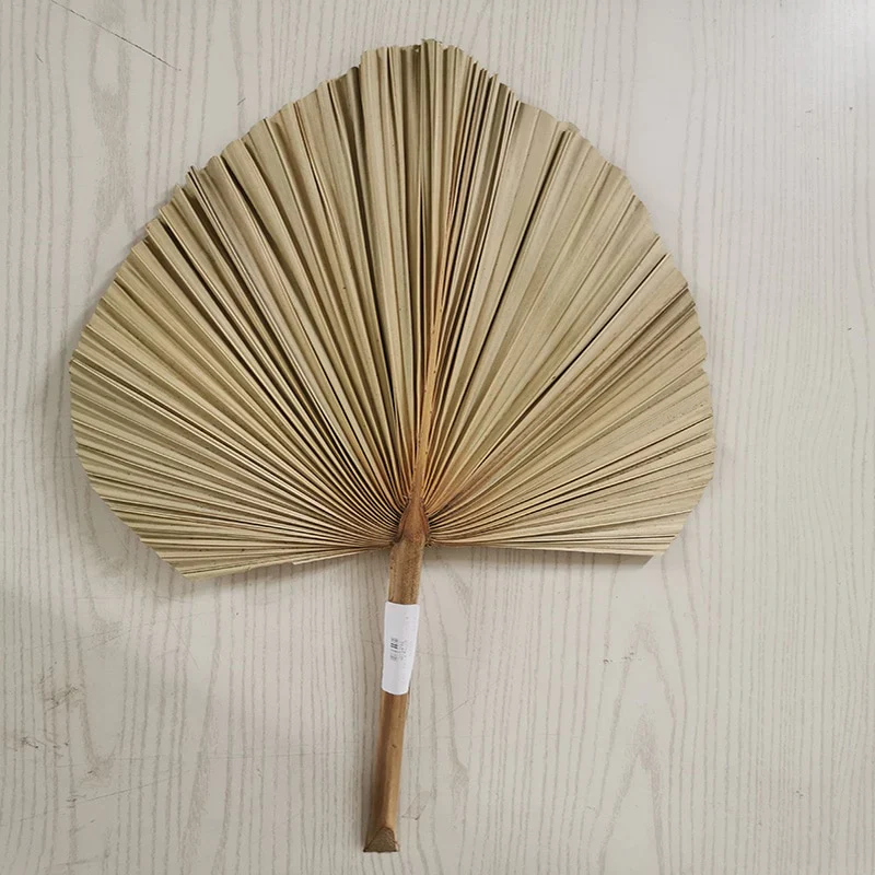 HULIANFU Palm Fan Leaf Dried Flower Palm Leaf Window Reception Party Art Wall Hanging Decoration Wedding Arch Arrangement - Deanwangkt
