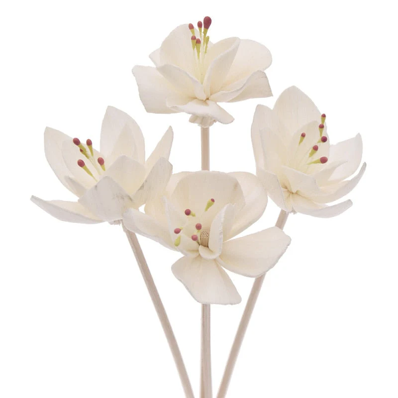 HULIANFU Primary Color Flower Shape No Fire Aromatherapy Rattan For Reed Diffuser Replacement Sticks Home Bathroom Decoration - Deanwangkt