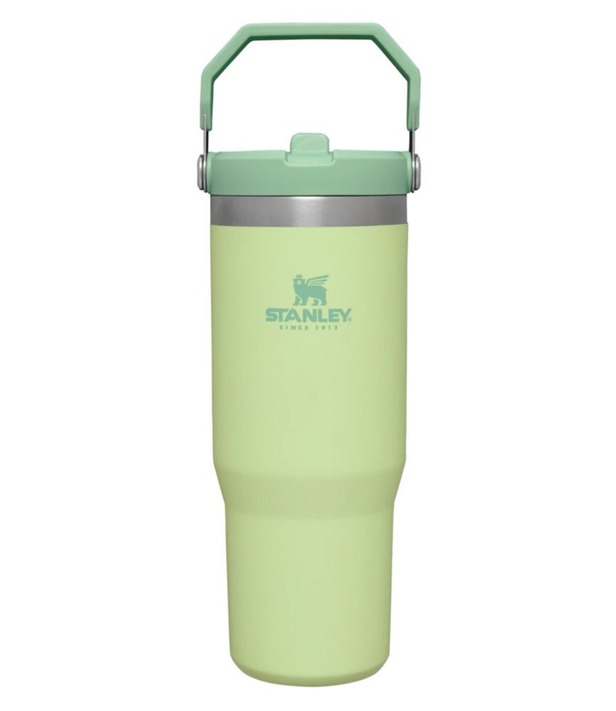 Stanley IceFlow Flip Straw Tumbler, 30 oz.