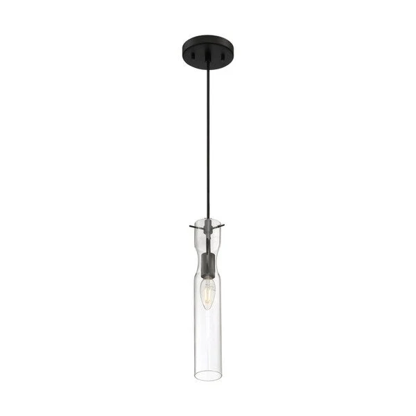 Spyglass 1-Light Mini Pendant Fixture - Black Finish with Clear Glass
