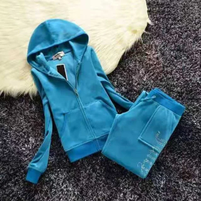 Hulianfu Spring/Fall Women's Brand Velvet Fabric Tracksuits Velour Suit Women Track Suit Hoodies And Pants fat sister sportswear - Deanwangkt