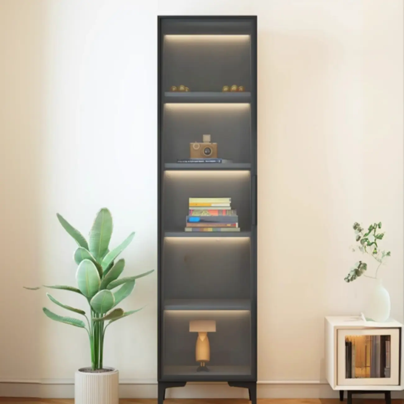 Modern Black Wood Clear Glass Lighting Display Cabinet