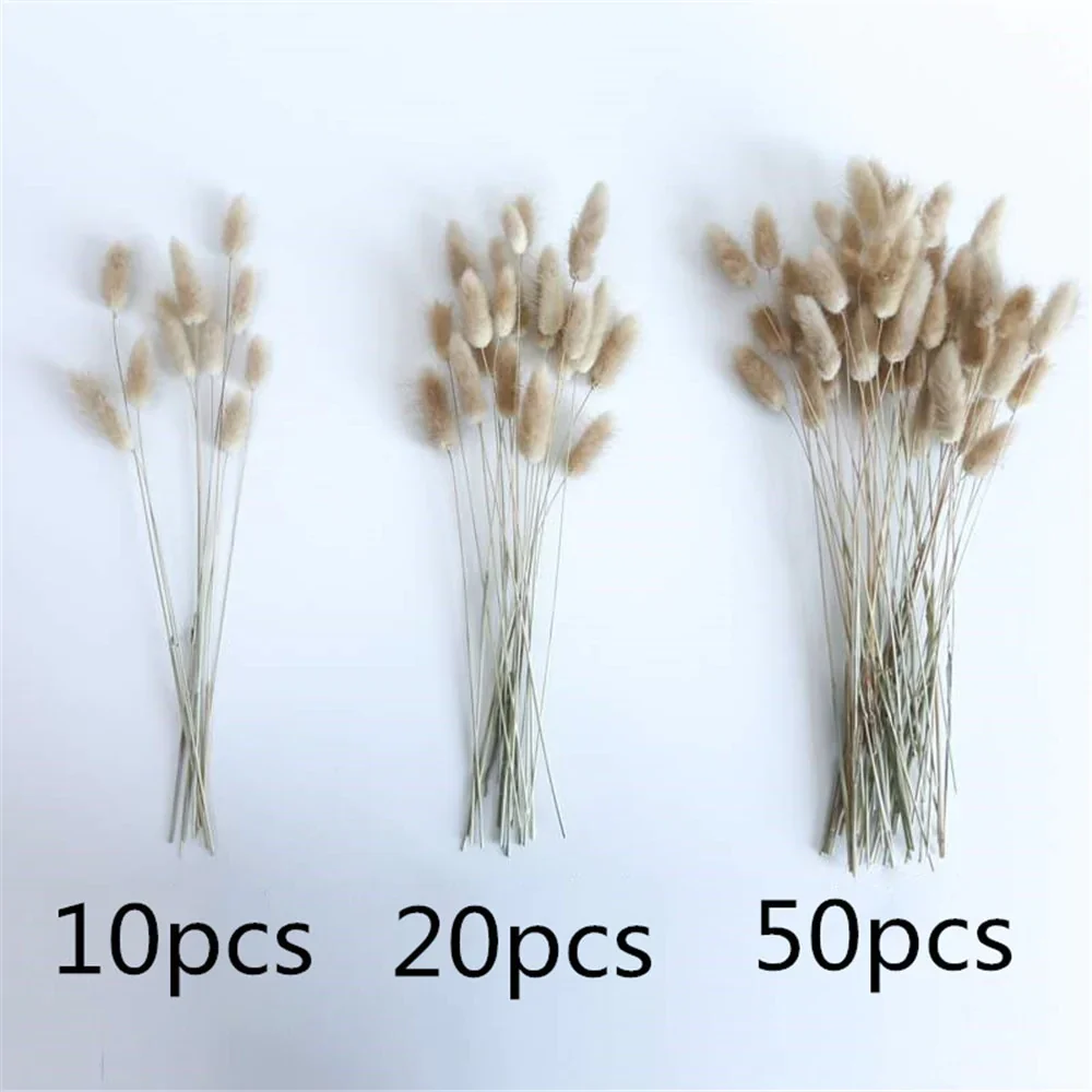 HULIANFU Natural Dried Flowers Lagurus Ovatus Rabbit Bunny Tail Grass Bunch Real Flower Bouquet Pampas Grass for Home Wedding Decoration - Deanwangkt
