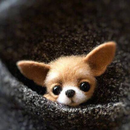 HULIANFU Non finished Handcrafted Pocket Animal Pet Doll Toy Wool Needle Felting Kit Dog Cat Fox Rabbit фетр для рукоделия фетр fieltro - Deanwangkt