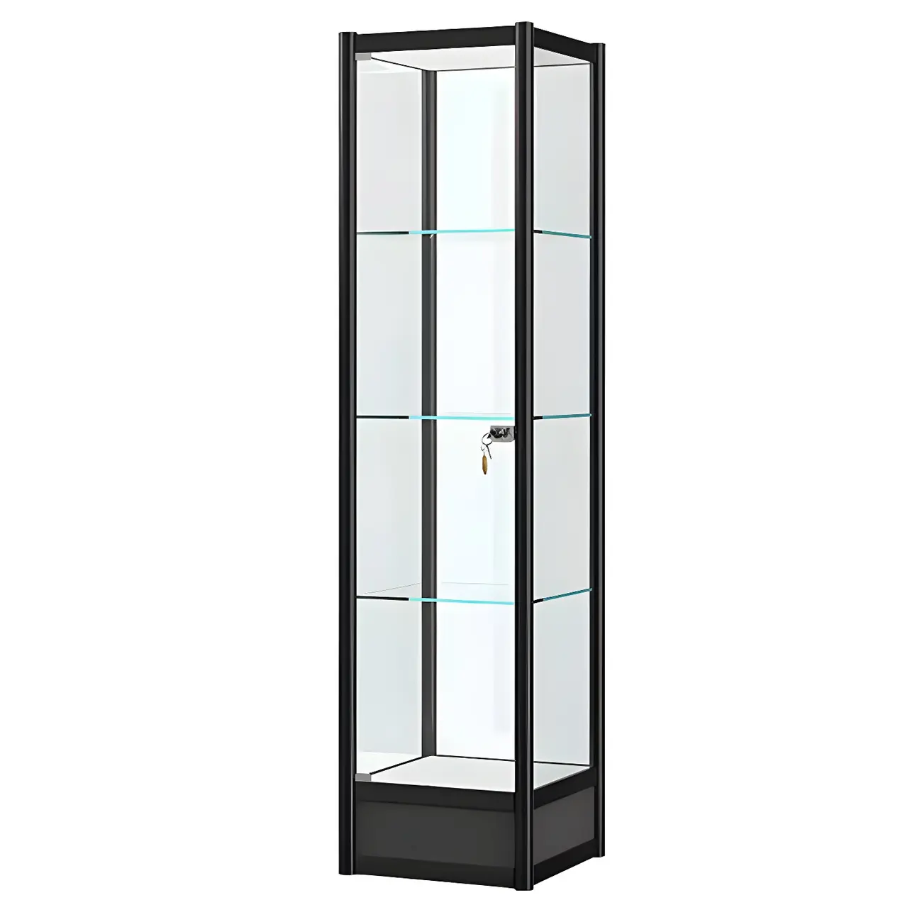 Rectangular Black Clear Glass Metal Frame Curio Cabinet