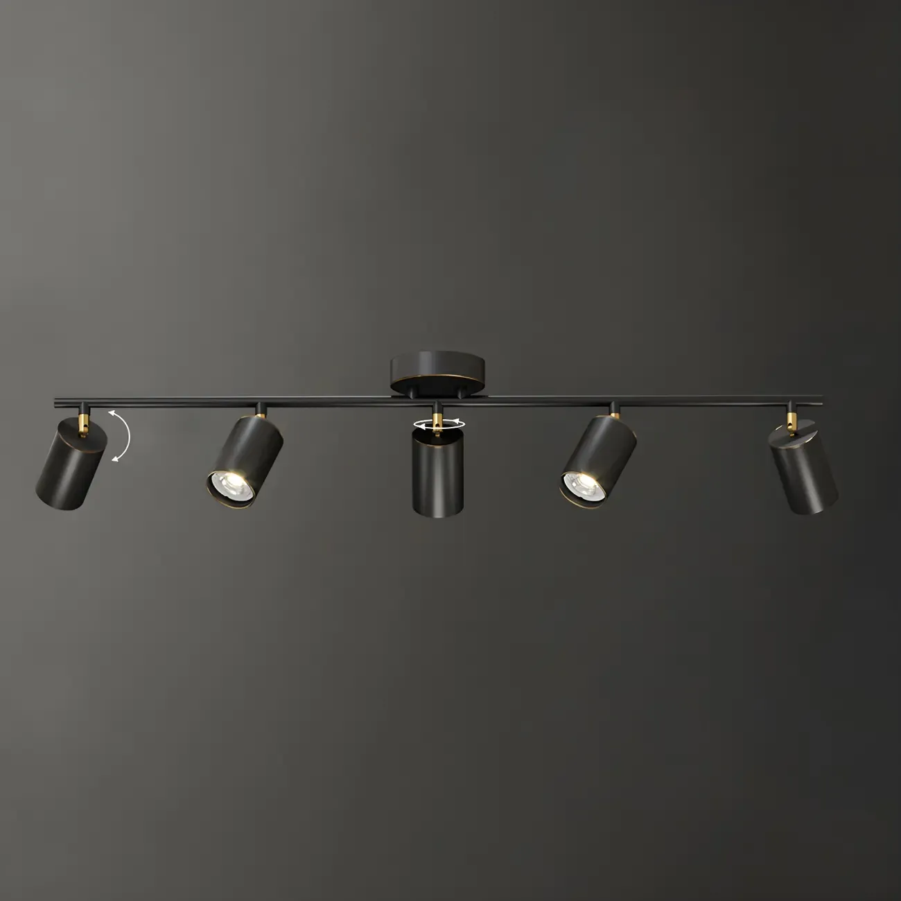 4 Light Gold Track Lighting with Adjustable Heads