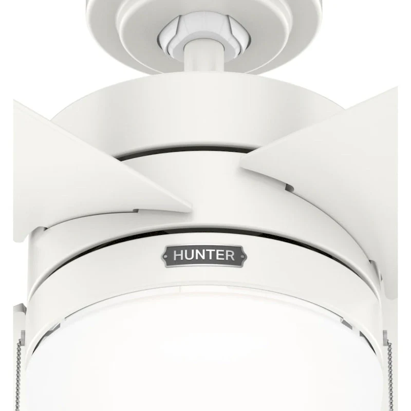 Hunter 52  Timpani Ceiling Fan w/ LED Light, Pull Chain