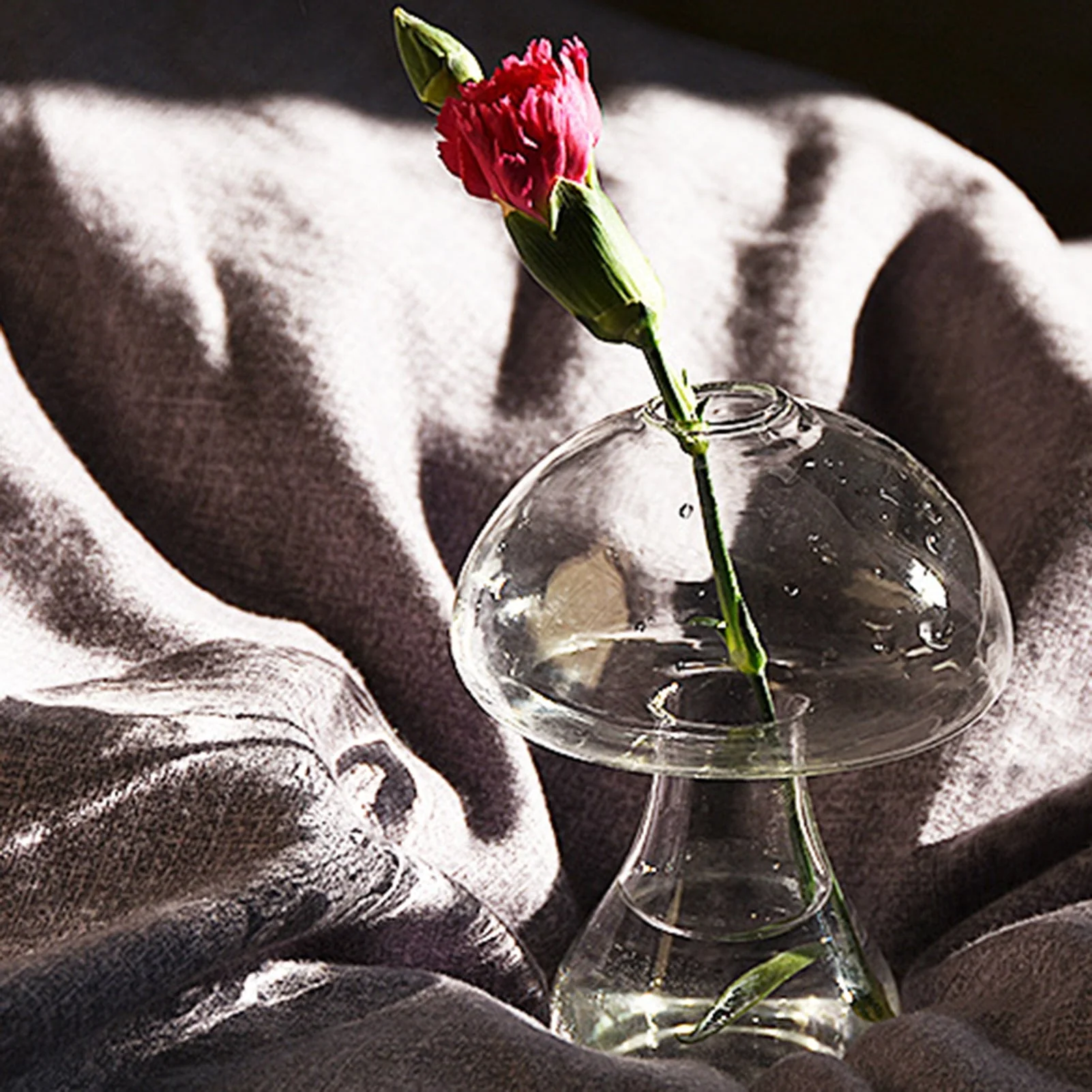 HULIANFU Simple Transparent Glass Small Vase Nordic Decoration Living Room Flower Home Vases For Flowers Aromatherapy Bottle - Deanwangkt