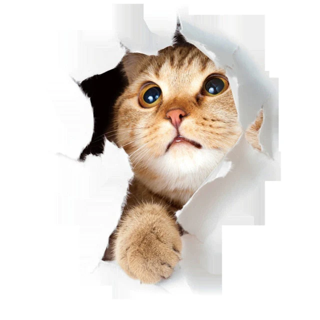 HULIANFU 2026  3D Lovely Pet Self-adhesive Wallpaper Children Living Room Bathroom Toilet Decals Mural Tattoo - Deanwangkt