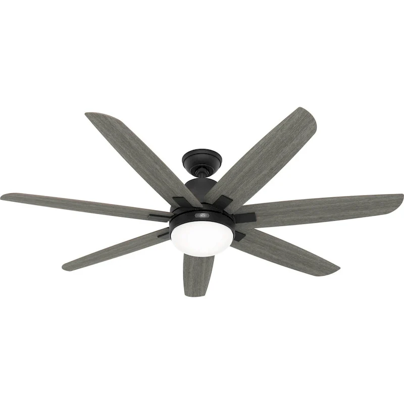 Hunter 60  Wilder Ceiling Fan with LED Light Kit and Wall Control