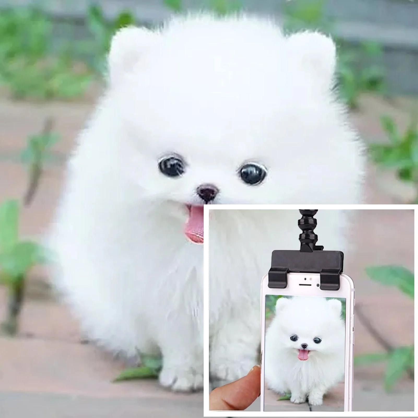 HULIANFU Pet Selfie Stick Dog Cat Smartphone Selfie Stick Puppy Selfie Stick Rod Dog Cat Photo Shooting Toys Mobile Phone Clip Pet Supply - Deanwangkt