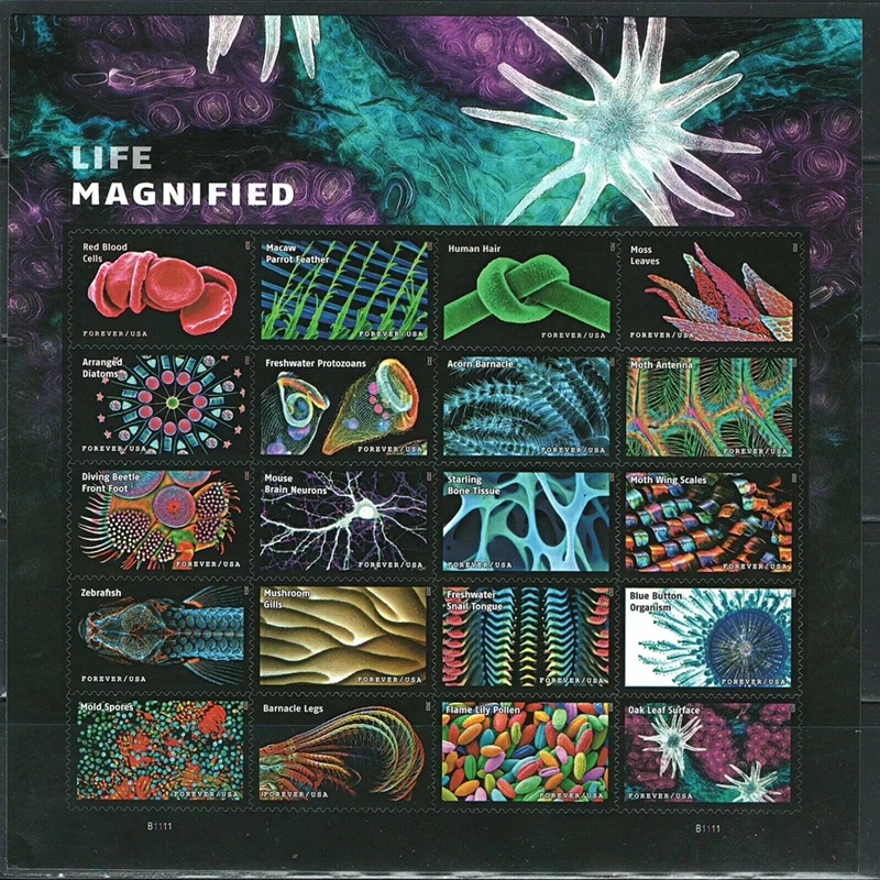 Life Magnified 2023, (Sheet of 20) - TWENTYSTAMPS