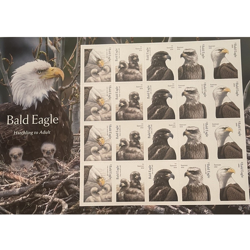 Bald Eagles 2026, (Sheet of 20) - TWENTYSTAMPS