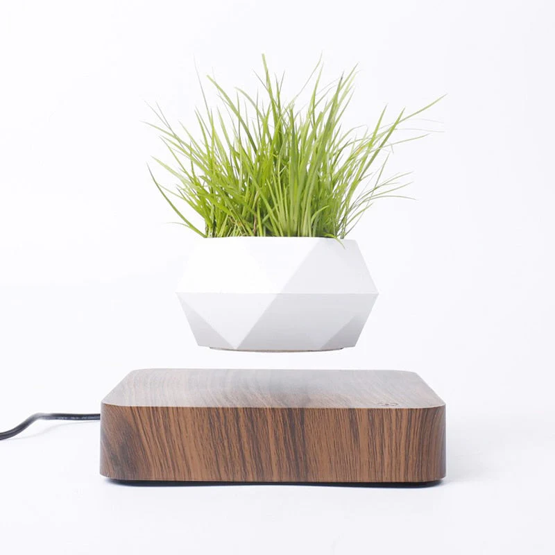 HULIANFU Magnetic suspension flower pot Levitating Air Bonsai Pot plant pot succulent pot patio decoration Desktop Flower/Green Plant - Deanwangkt