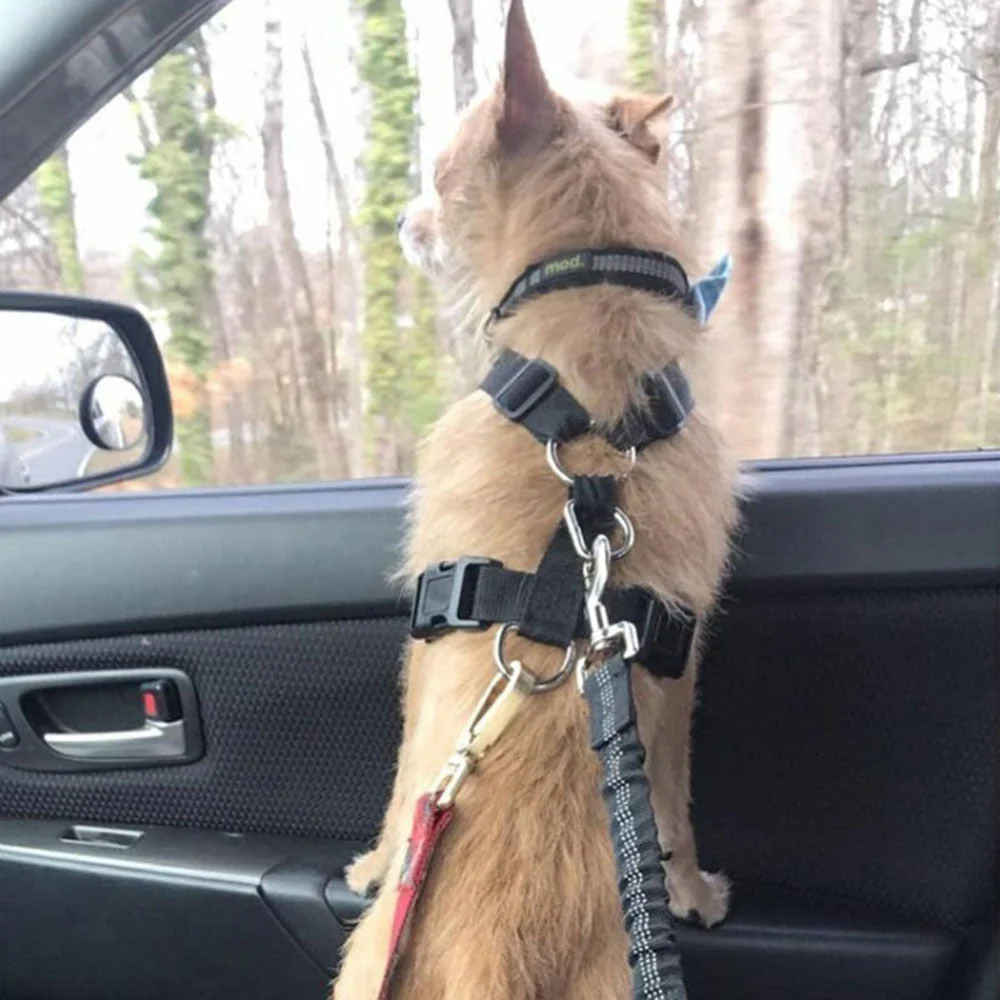 HULIANFU Pet Supplies Car Seat Belt Dog Seat Belt Dog Leash Vehicle Belt Adjustable Cushioning Elastic Reflective Safety Rope for Dog Cat - Deanwangkt