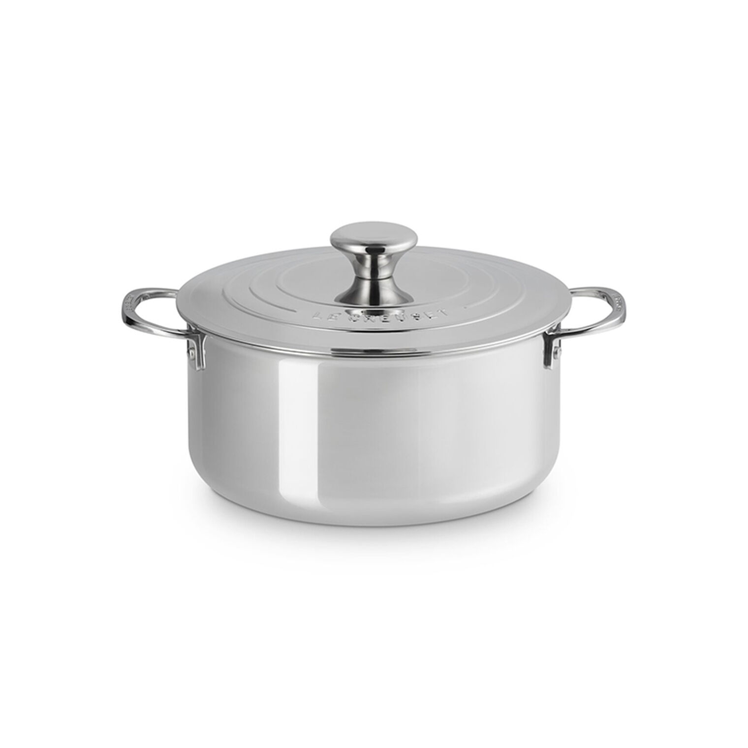 Signature Stainless Steel Braiser