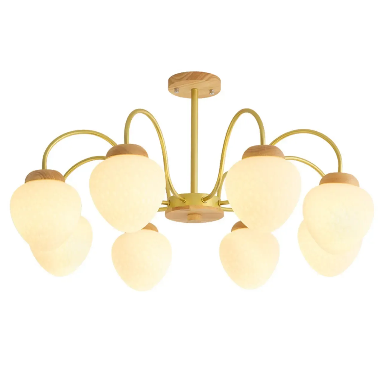 3/5/8-Light Modern Globe Ceiling Chandelier with Glass Shades