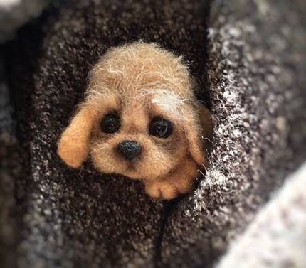 HULIANFU Non finished Handcrafted Pocket Animal Pet Doll Toy Wool Needle Felting Kit Dog Cat Fox Rabbit фетр для рукоделия фетр fieltro - Deanwangkt