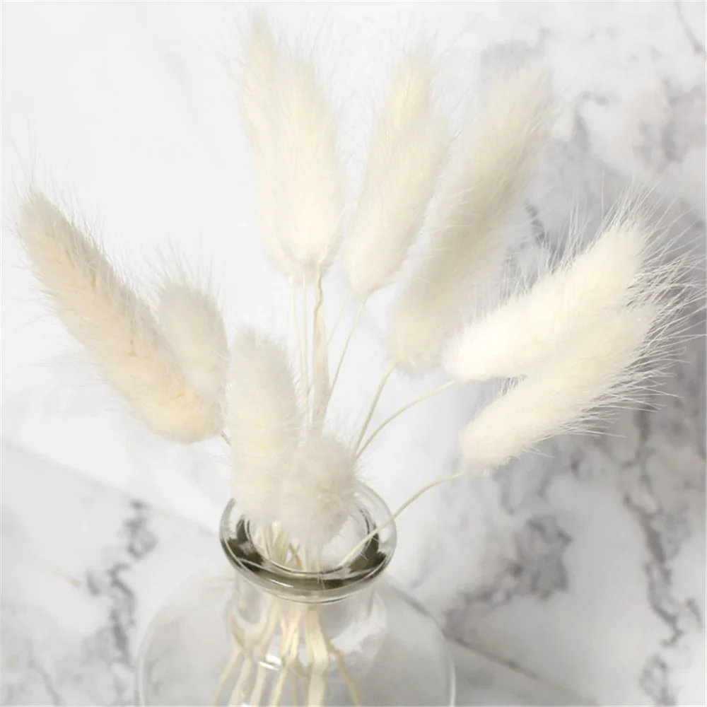 HULIANFU Natural Dried Flowers Lagurus Ovatus Rabbit Bunny Tail Grass Bunch Real Flower Bouquet Pampas Grass for Home Wedding Decoration - Deanwangkt