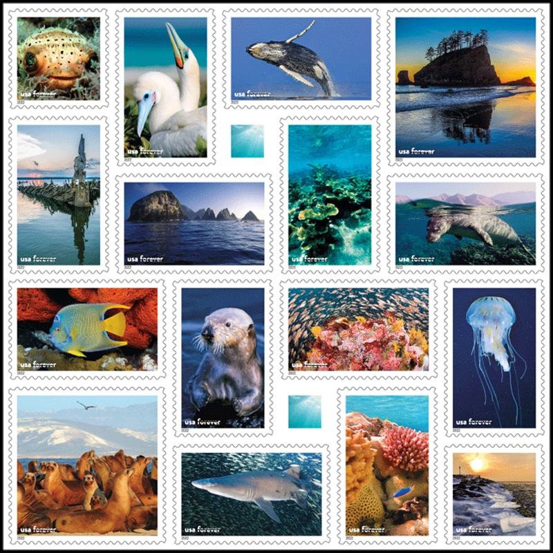 Animal - TWENTYSTAMPS