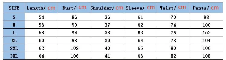 Hulianfu Spring/Fall Women's Brand Velvet Fabric Tracksuits Velour Suit Women Track Suit Hoodies And Pants fat sister sportswear - Deanwangkt