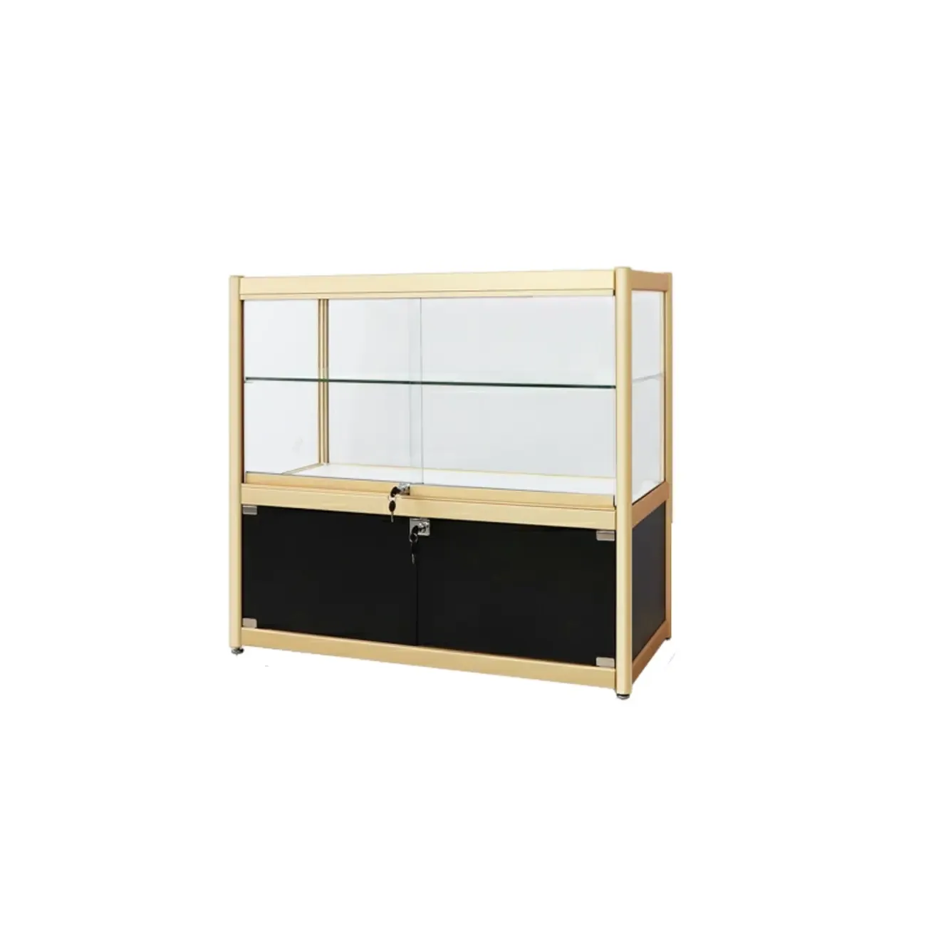 Gold Rectangular Metal Frame Glass Curio Cabinet