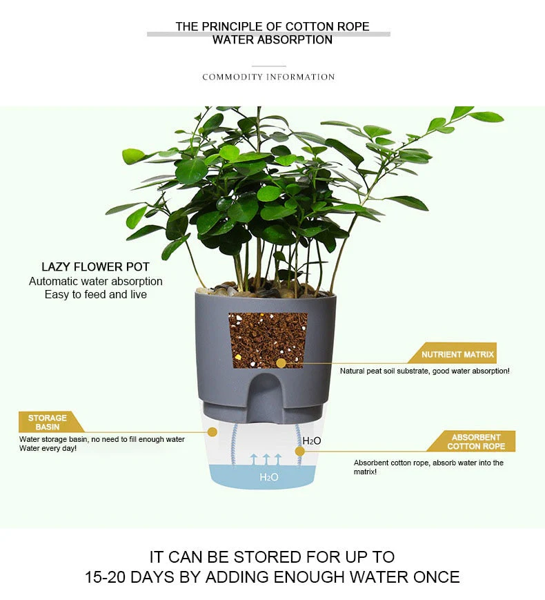 HULIANFU Lazy Self-watering Flowerpot Automatic Water Absorption Succulent Aquaculture Transparent Round Plastic Hydroponic Flowerpot - Deanwangkt