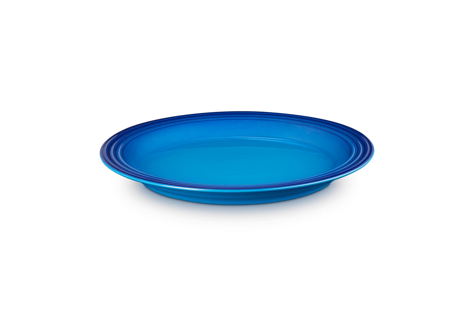 Stoneware Dinner Plate