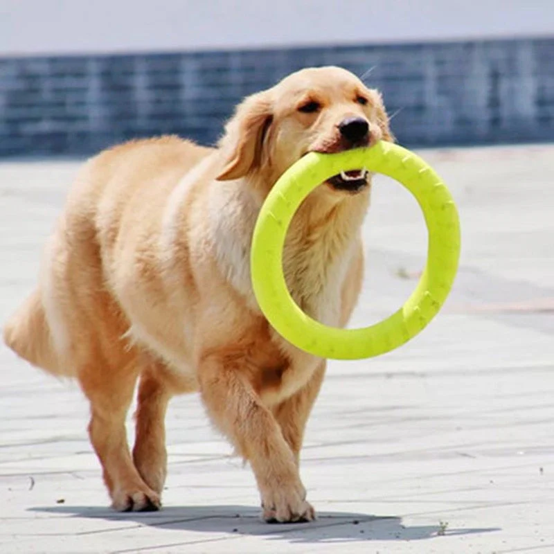 HULIANFU Pet Flying Discs EVA Dog Training Ring Puller Resistant Bite Floating Toy Puppy Outdoor Interactive Game Playing Products Supply - Deanwangkt