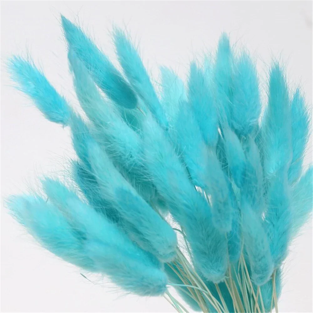 HULIANFU Natural Dried Flowers Lagurus Ovatus Rabbit Bunny Tail Grass Bunch Real Flower Bouquet Pampas Grass for Home Wedding Decoration - Deanwangkt