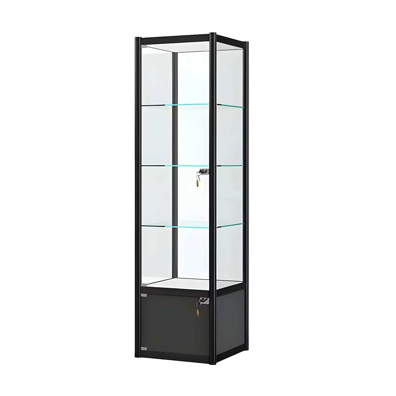 Rectangular Black Clear Glass Metal Frame Curio Cabinet