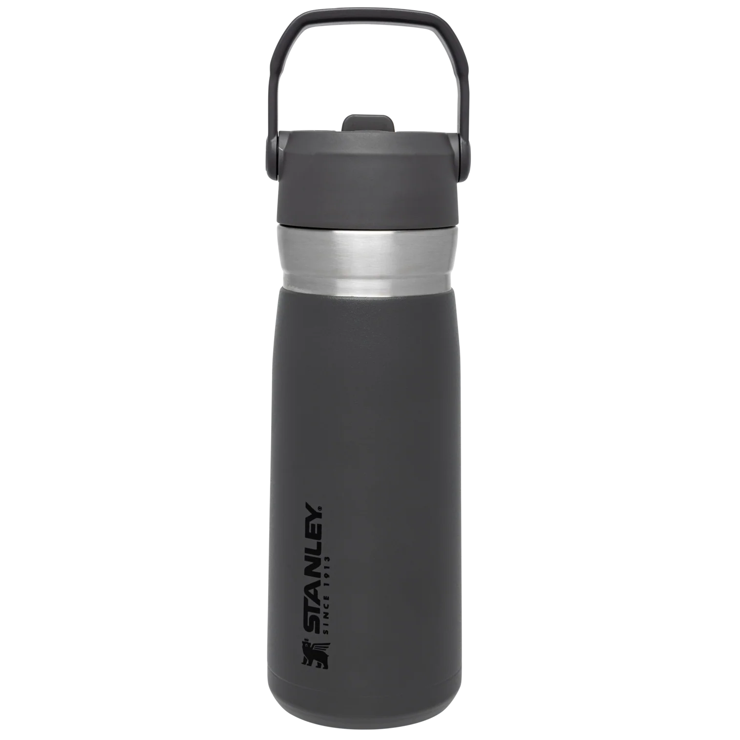 The Go Flip Straw Water Bottle | 22 OZ