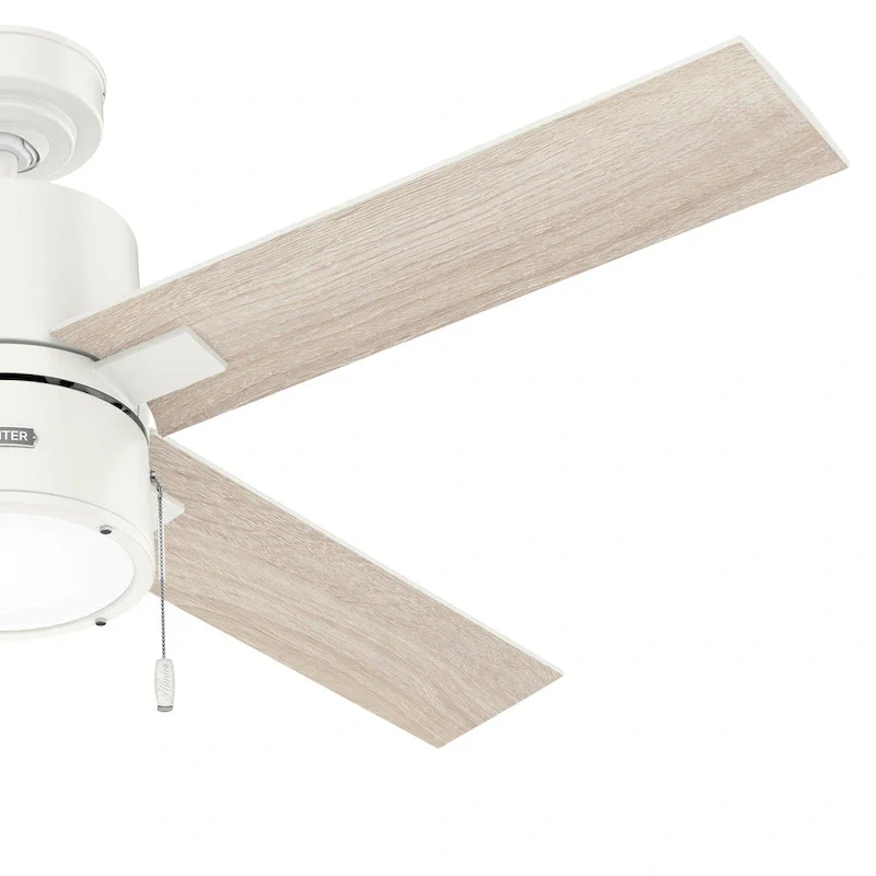 Hunter 52  Beck Ceiling Fan with LED Light Kit and Pull Chain - Transitional, Modern, Farmhouse