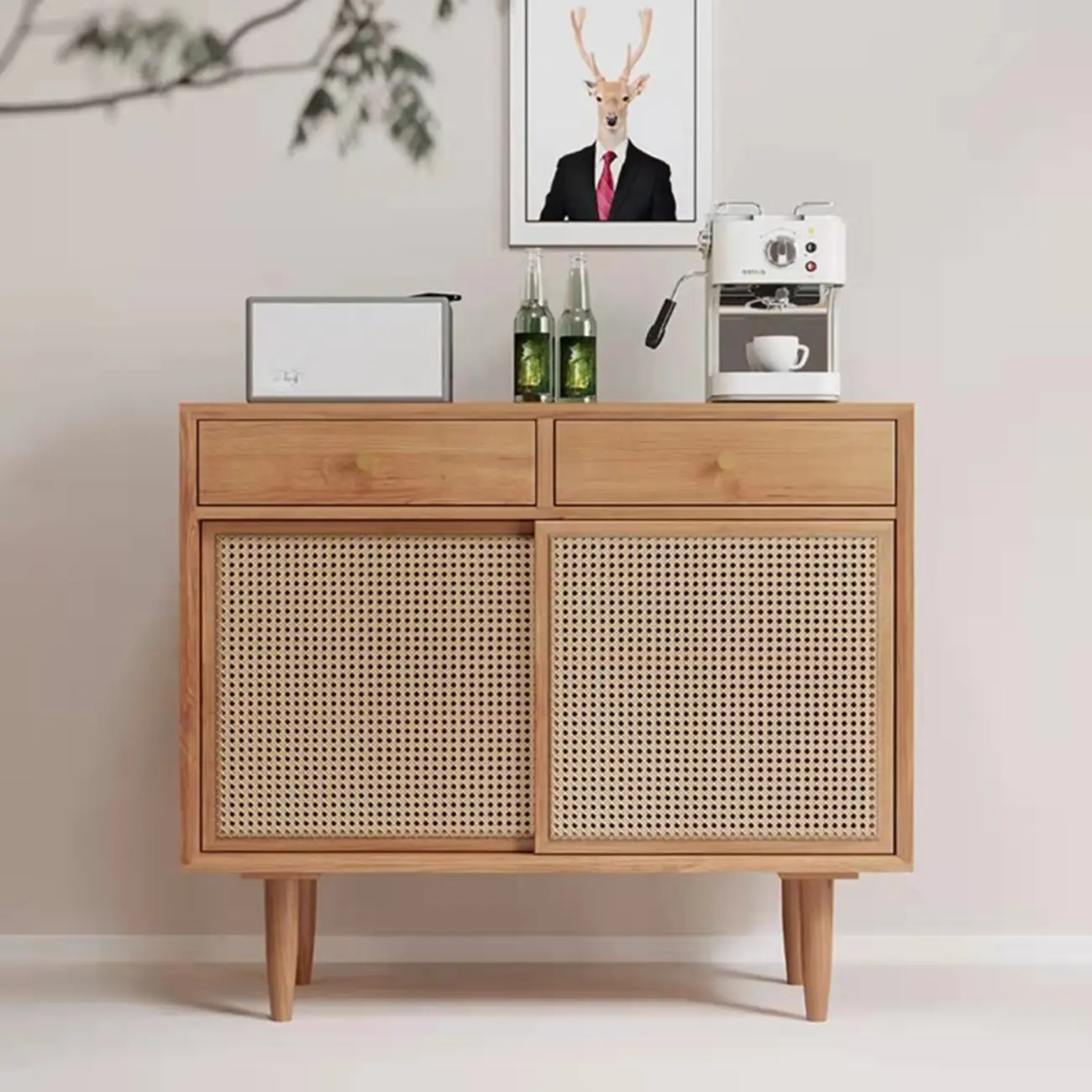 Nordic Freestanding Rattan Cabinet with Sliding Door