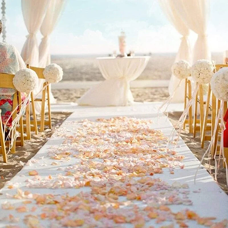 HULIANFU Romantic White Wedding Carpet Aisle Runner Floor Decor Festival Party Celebration Wedding Carpet Indoor Outdoor Anti-slip Rugs - Deanwangkt