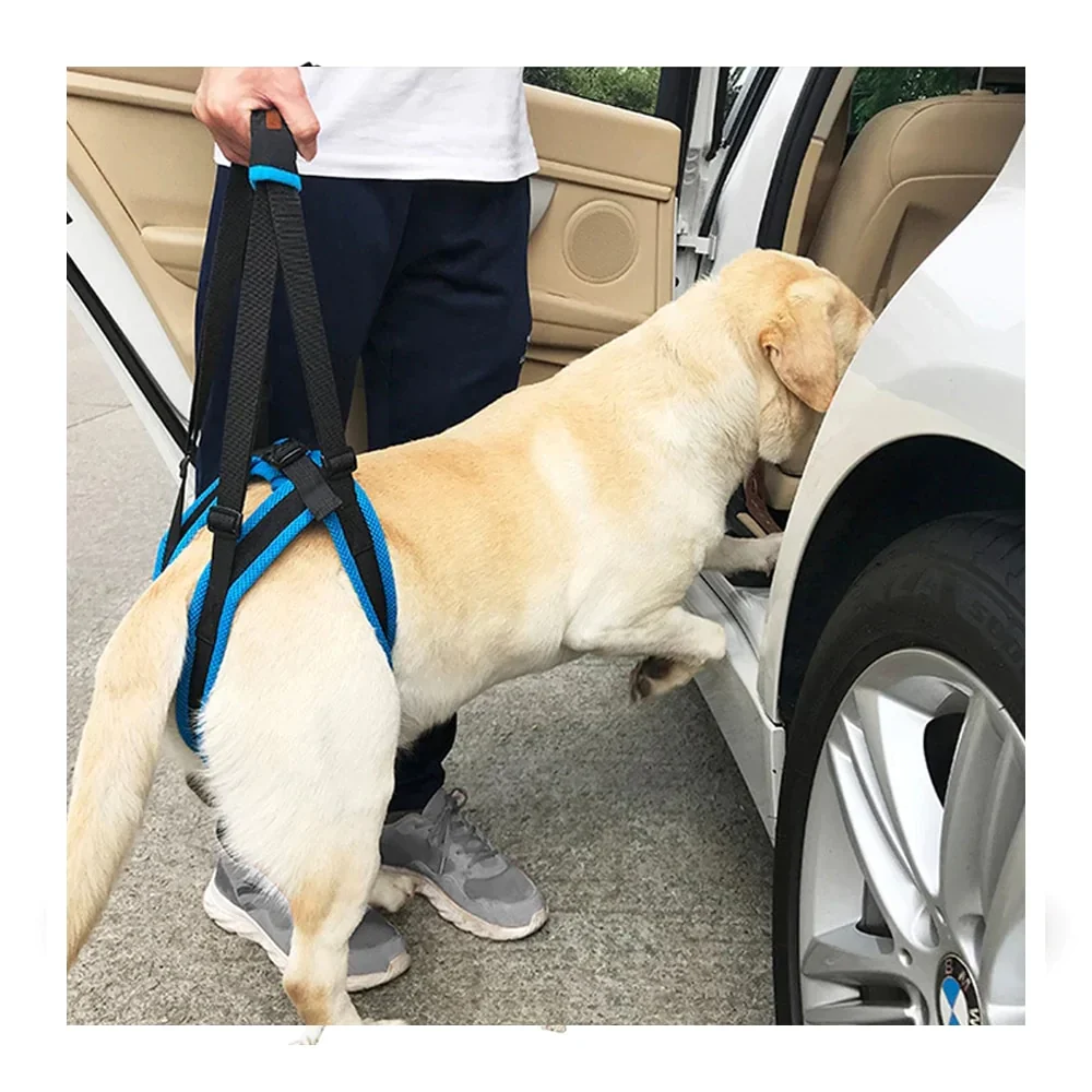 HULIANFU New Pet Leg Straps Walking Bracket Dog Leg Belts Hind Legs Support Harness with Assist Sling for Old Injured Dogs - Deanwangkt