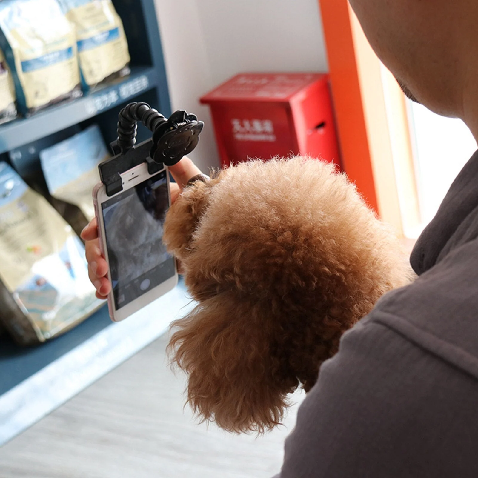 HULIANFU Pet Selfie Stick Dog Cat Smartphone Selfie Stick Puppy Selfie Stick Rod Dog Cat Photo Shooting Toys Mobile Phone Clip Pet Supply - Deanwangkt