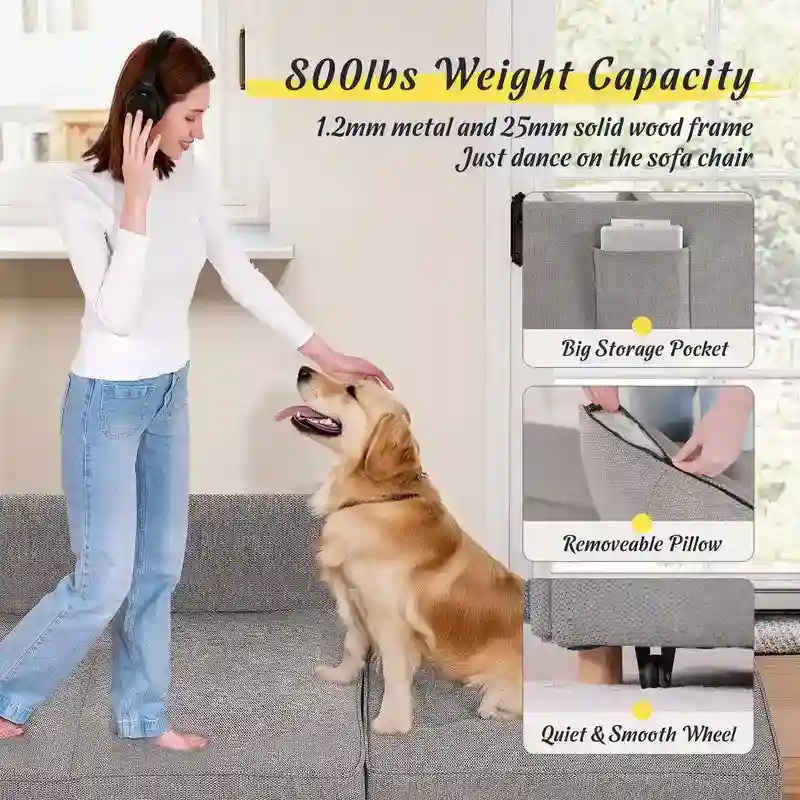 Hansabenne 4 in 1 Multi-Function Folding Sofa Folding Bed Single Futon Couch Guest Bed with 2 Throw Pillows