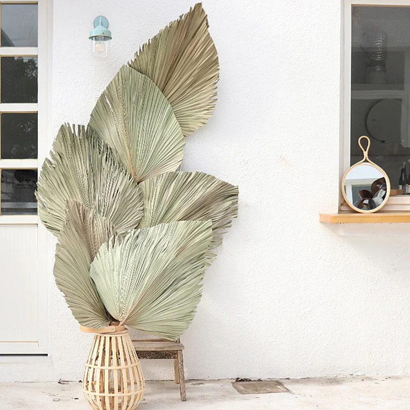 HULIANFU Palm Fan Leaf Dried Flower Palm Leaf Window Reception Party Art Wall Hanging Decoration Wedding Arch Arrangement - Deanwangkt