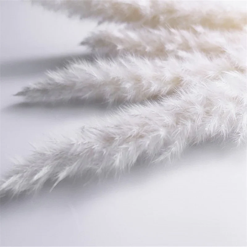 HULIANFU Natural Dried Flowers Lagurus Ovatus Rabbit Bunny Tail Grass Bunch Real Flower Bouquet Pampas Grass for Home Wedding Decoration - Deanwangkt