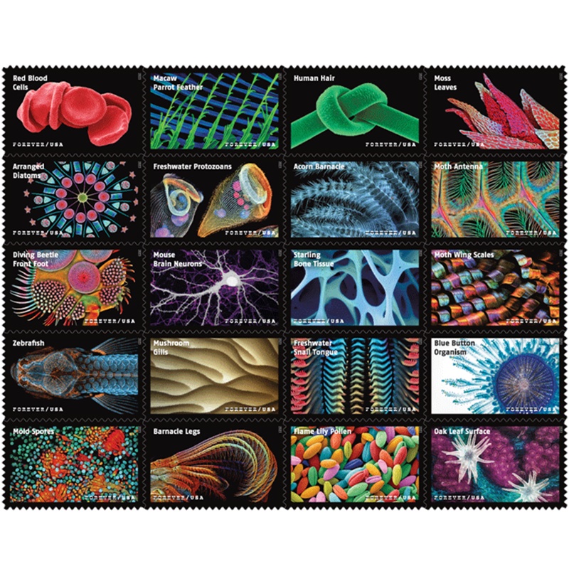 Life Magnified 2023, (Sheet of 20) - TWENTYSTAMPS