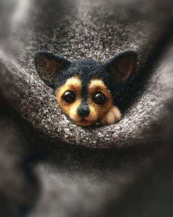 HULIANFU Non finished Handcrafted Pocket Animal Pet Doll Toy Wool Needle Felting Kit Dog Cat Fox Rabbit фетр для рукоделия фетр fieltro - Deanwangkt