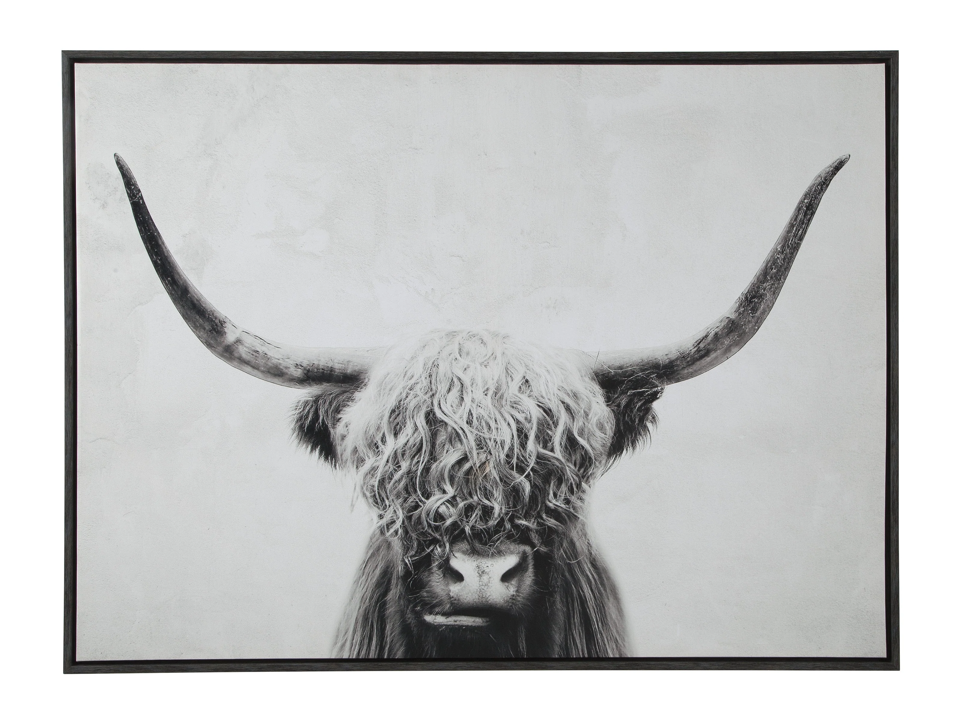 Highland Cow Canvas Wall Art